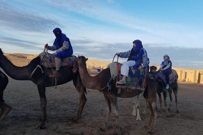 the best Camel ride exp in desert of Marrakech - Authentic Moroccan Hospitality and Cultural Experience
