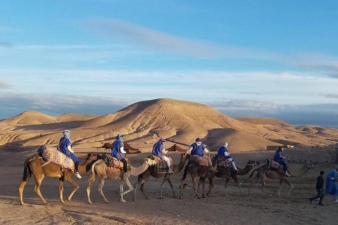 the best Camel ride exp in desert of Marrakech - Analyzing the Value
