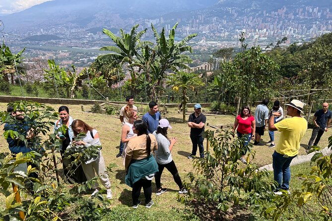 the-best-half-day-coffee-farm-tour-on-medellin