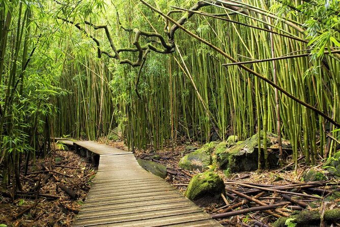 the-best-half-day-of-your-life-luxury-road-to-hana-private-tour-2