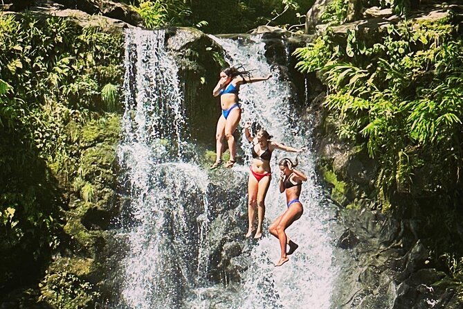 the-best-half-day-of-your-life-luxury-road-to-hana-private-tour