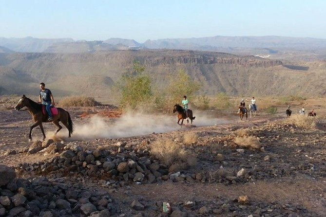 the-best-horse-riding-experience-in-gran-canaria-1-hour