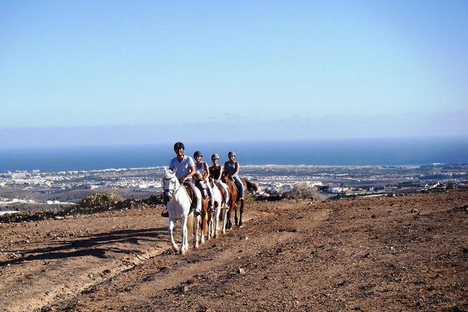 the-best-horse-riding-experience-in-gran-canaria-2-hours