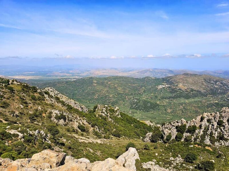 The Best Jeep Safari to Lasithi Plateau - Who Is This Tour Best For?  