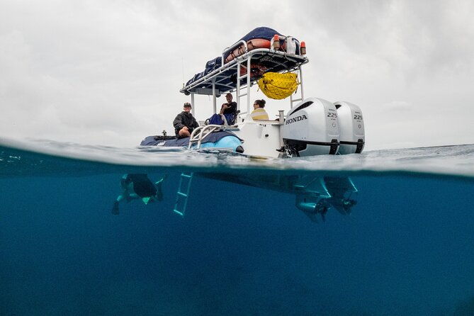 the-best-maui-3-hour-molokini-and-turtle-town-snorkel