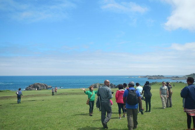 the-best-morning-and-michinoku-shiokaze-trail-trekking-in-the-tanesashi-coast-natural-grassland