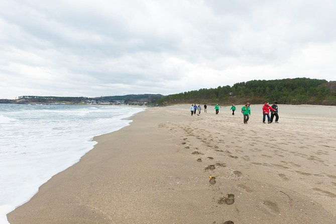the-best-morning-and-michinoku-shiokaze-trail-trekking-in-the-tanesashi-coast-natural-grassland