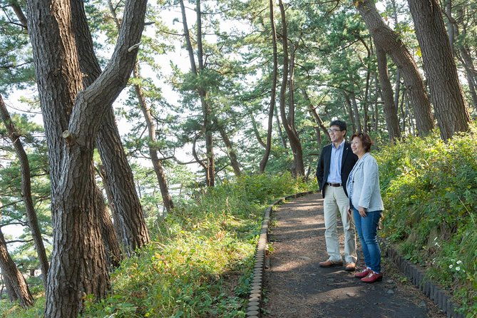 the-best-morning-and-michinoku-shiokaze-trail-trekking-in-the-tanesashi-coast-natural-grassland