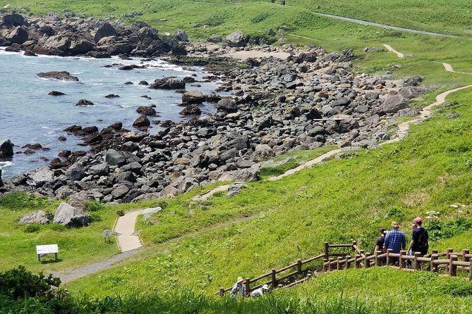 the-best-morning-and-michinoku-shiokaze-trail-trekking-in-the-tanesashi-coast-natural-grassland
