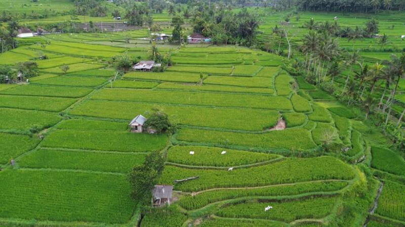 the-best-northern-bali-waterfalls-sacred-temple-adventure