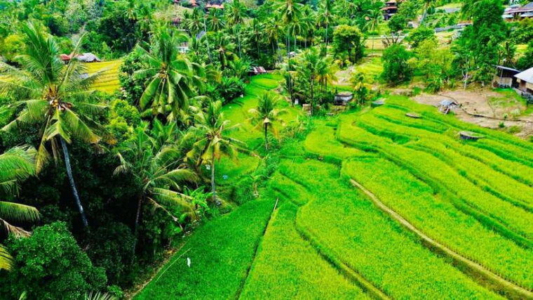 the-best-northern-bali-waterfalls-sacred-temple-adventure