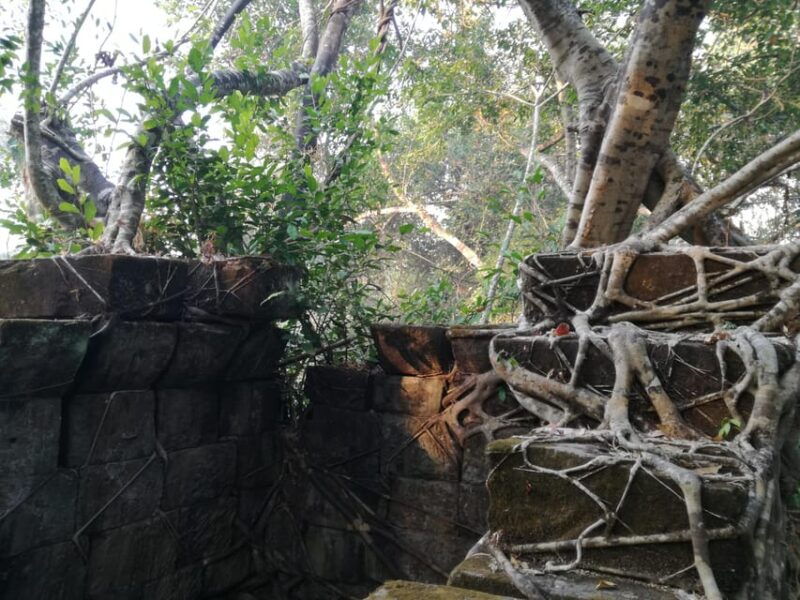 the-best-of-angkor-temples-2-day-private-tour