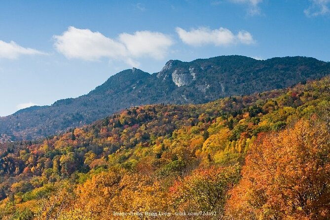 the-best-of-asheville-private-2-5-hour-walking-tour