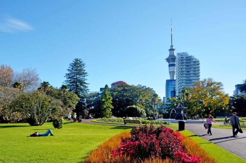 The Best of Auckland Private Walking Tour - An Overview of What to Expect