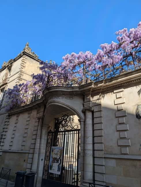 The Best of Bordeaux Walking Tour + 1 Glass of Wine - Authentic Traveler Insights