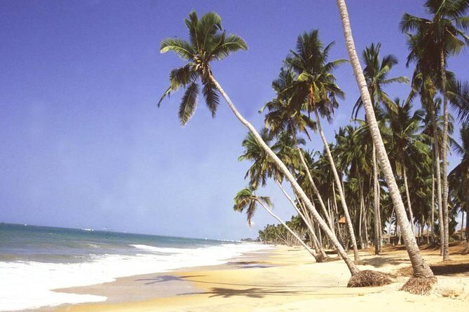 The Best Of Cape Coast Tour - Insights from Reviews to Help You Decide