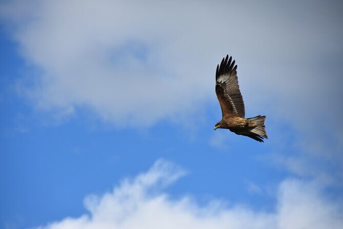 The best of Central Mongolia Guided 3 day Adventure - Final Thoughts