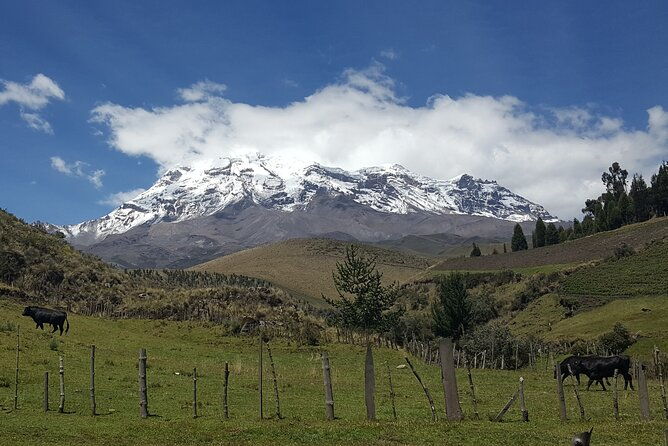 the-best-of-ecuador-galapagos-12-days-11-nights