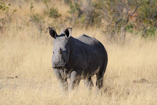 The Best of Matobo - An Overview of the Experience