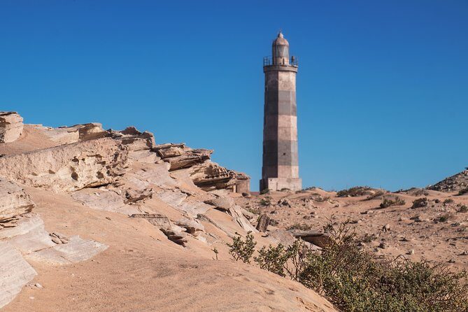 The best of Nouadhibou walking tour - An In-Depth Look at the Tour Experience