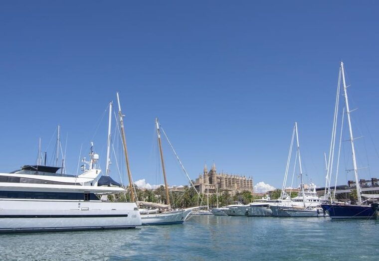 the-best-of-palma-boat-trip-walking-tour-and-cathedral