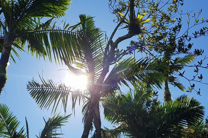 the-best-of-puerto-rico-private-day-tour