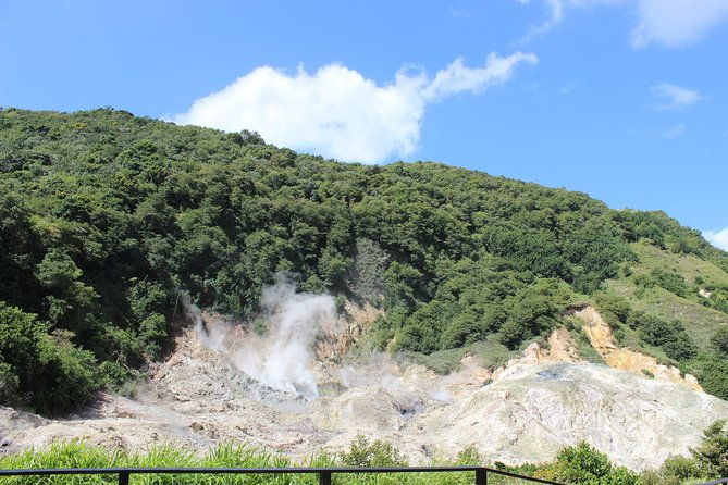 the-best-of-saint-lucia-tour