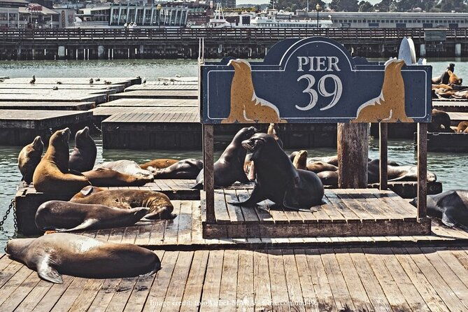 the-best-of-san-francisco-private-half-day-walking-tour