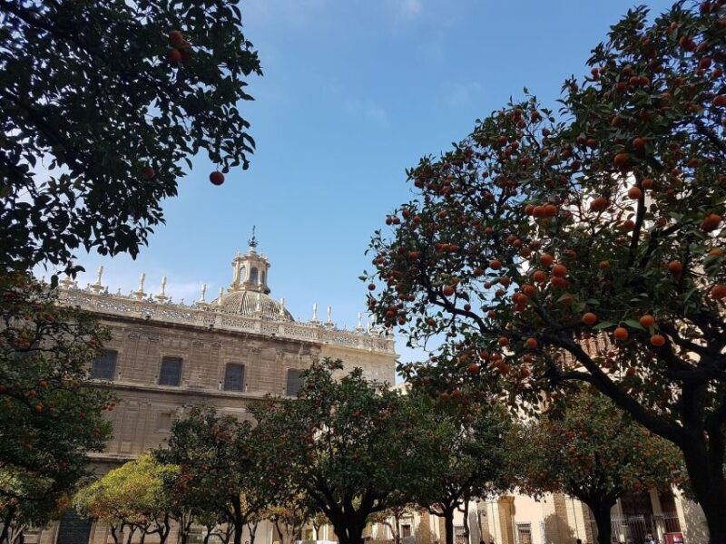 the-best-of-seville-private-25-hour-walking-tour