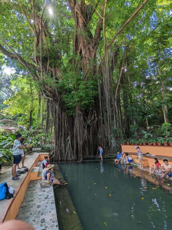 the-best-of-siquijor-island-tour-shared-tour