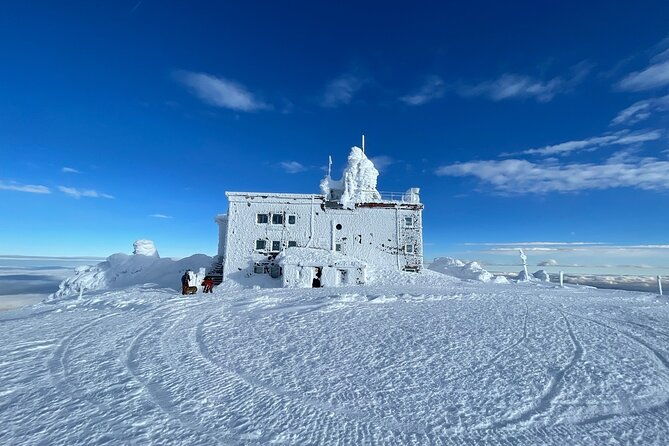the-best-of-sofia-magical-snowshoeing-adventure-in-vitosha-spa