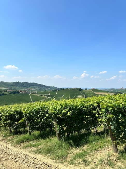 The Best of the Langhe: Wine Tasting & Traditional Meal - Introduction