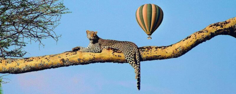 The Best of Three days Tarangire and Serengeti National Park - Key Points