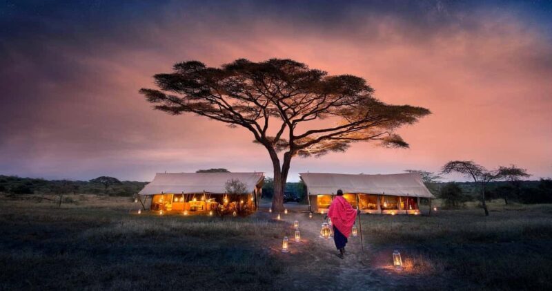 The Best of Three days Tarangire and Serengeti National Park - Practical Tips for Your Safari