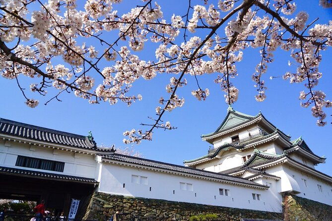 the-best-of-wakayama-city-private-tour