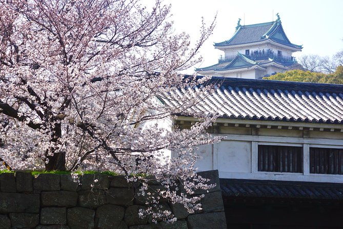 the-best-of-wakayama-city-private-tour