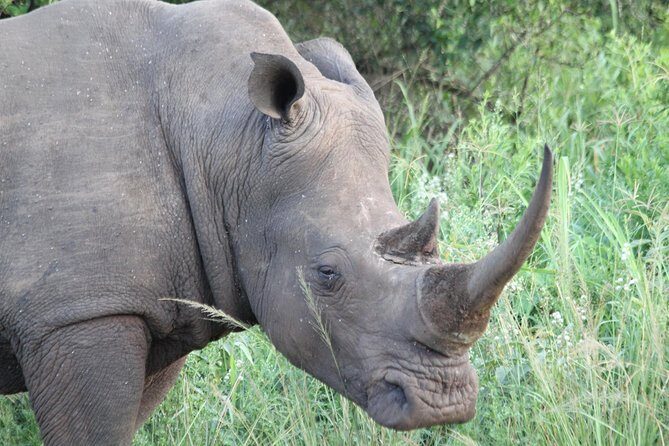 The Best of Zululand's Big 5 reserves - For the Discerning guest - Who Will Love This Tour?