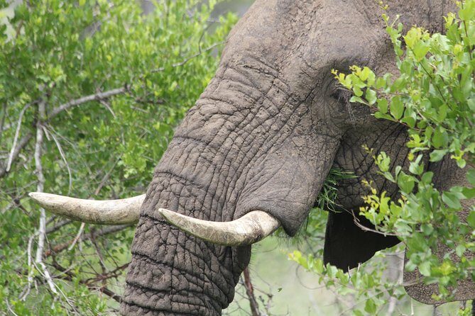The Best of Zululand's Big 5 reserves - For the Discerning guest - Final Thoughts