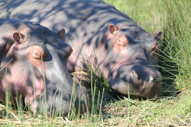 The Best of Zululand's Big 5 reserves - For the Discerning guest - FAQ