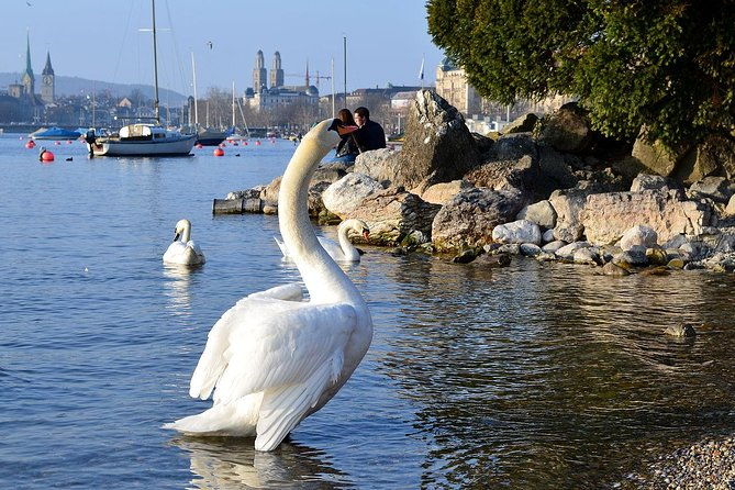 the-best-of-zurich-including-panoramic-views-in-a-small-group-walking-tour