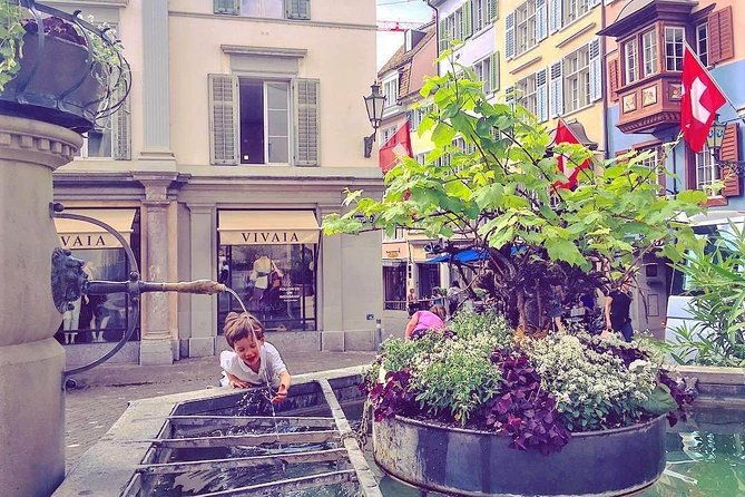 the-best-of-zurich-including-panoramic-views-in-a-small-group-walking-tour