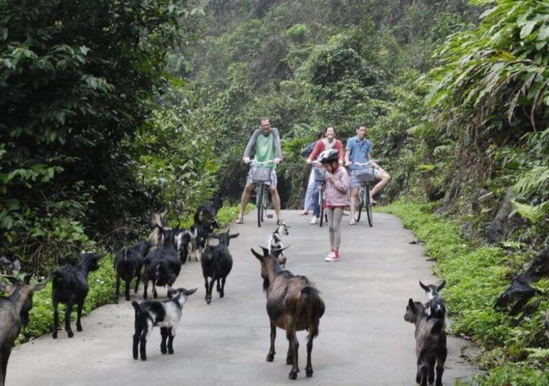 the-best-overnight-cruise-visit-lan-ha-bay-viet-hai-village