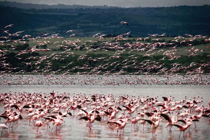 The Best Overnight Private Safaris to Amboseli National Park - Key Points