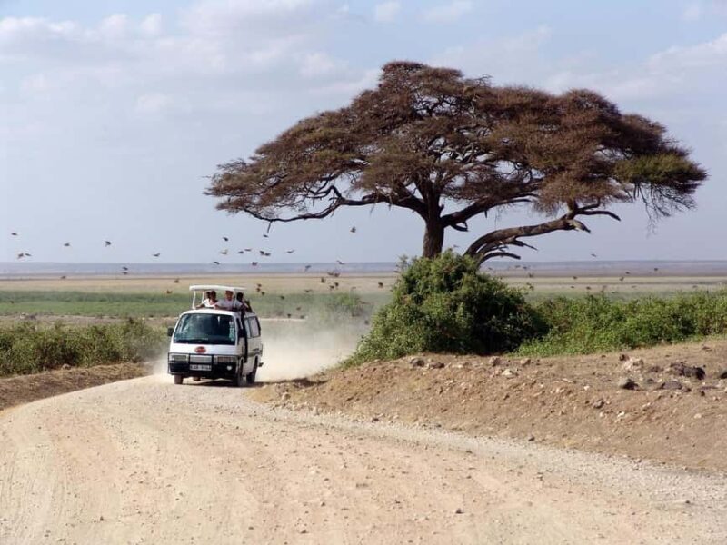 The Best Overnight Private Safaris to Amboseli National Park - Why Choose This Safari?