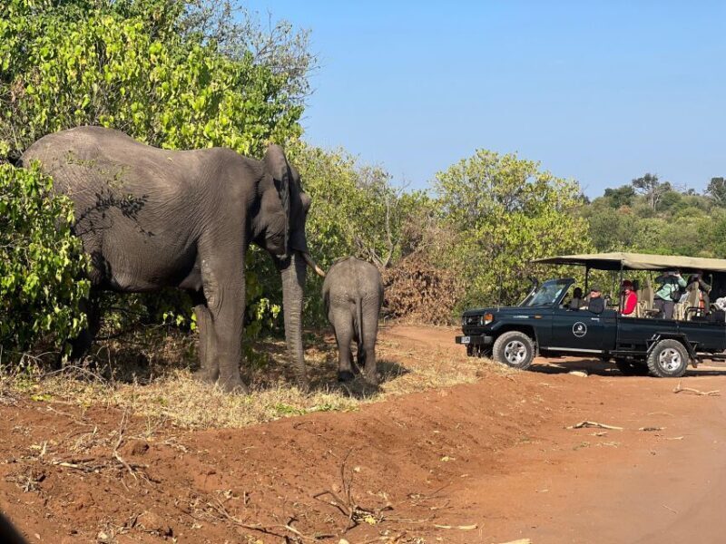 The Best Private Cape Town Safari Day Trip - Aquila Big 5 - Who Should Book This Tour?