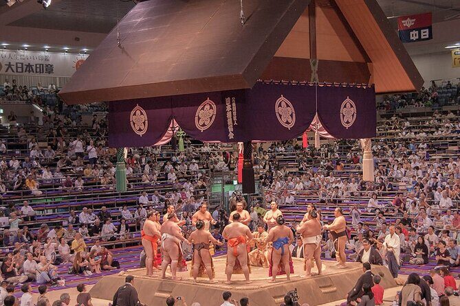 The Best Sumo Tournament Experience in Nagoya - Key Points