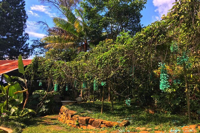the-best-thing-to-do-in-cali-butterfly-park