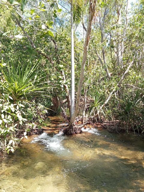 The best tour of Litchfield and crocodiles on the river - A Complete Look at the Best Tour of Litchfield and Crocodiles on the River  