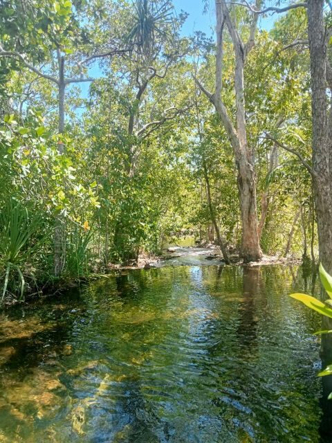 The best tour of Litchfield and crocodiles on the river - Key Points  