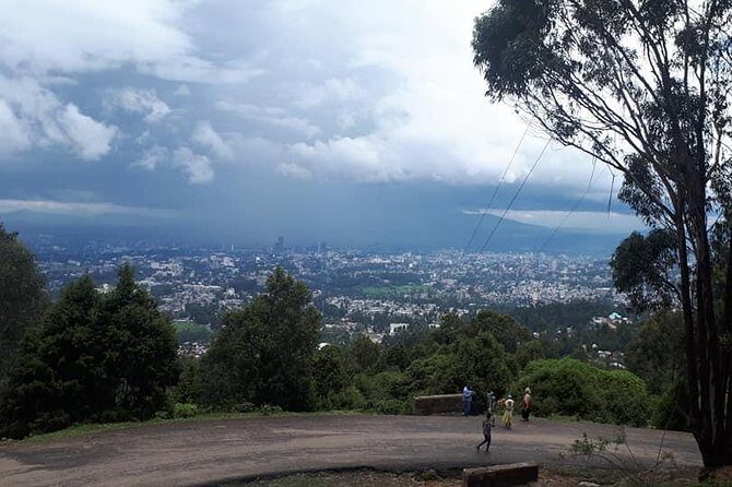 The Best way to Discover Addis Ababa - Transportation and Logistics: Comfort and Convenience